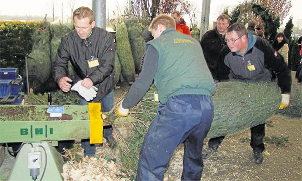 Weihnachtsbaum-Treff bei Baumschulen Reckmann